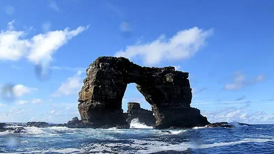 Galapagos-buceo-diving-darwin-isla
