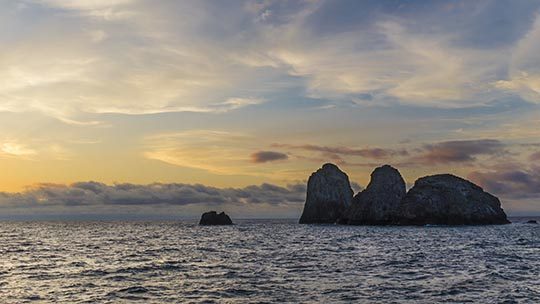 Malpelo-island-diving-colombia-los-mozqueteros