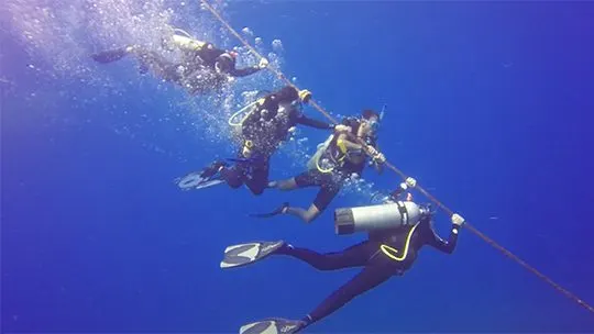 Providencia-safety-stop-buceo-diving-caribe