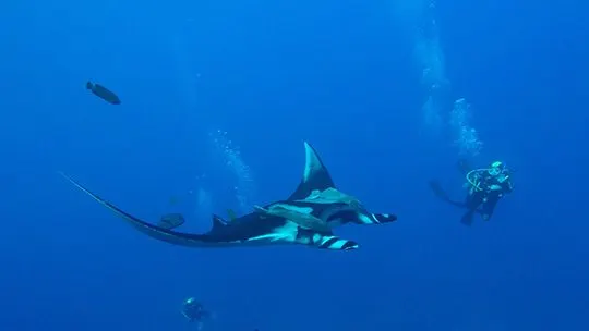 DCIM102GOPROGOPR4773.JPG