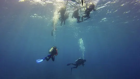 safety-stop-scuba-diving-belize-