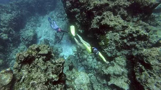 san-andres-freediving-apnea-colombia-island