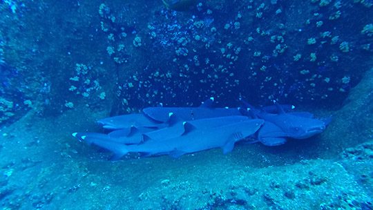 DCIM102GOPROGOPR5159.JPG