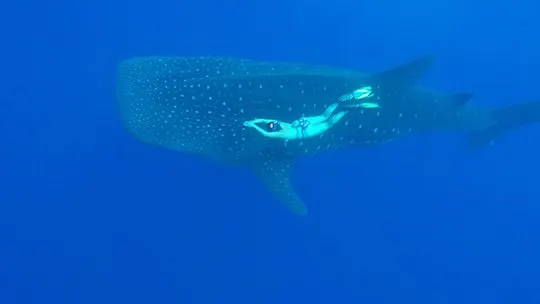 DCIM102GOPROGOPR5490.JPG