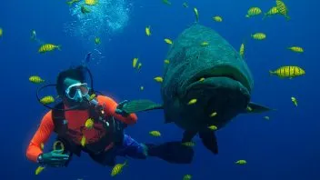 Advance Open Water Diver